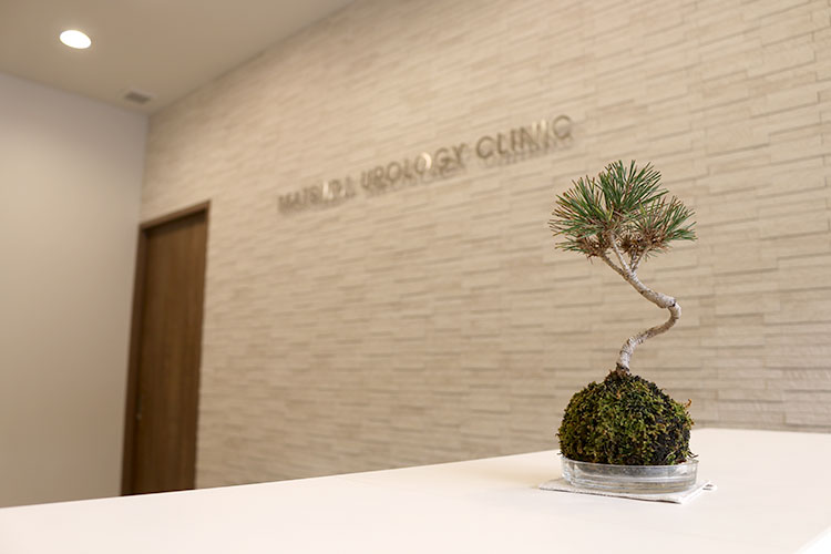 受付の【松】の盆栽